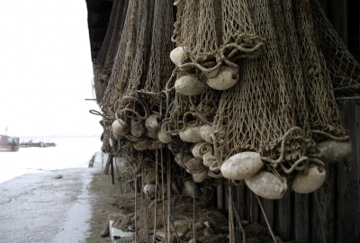 400 mln zł z rybactwa śródlądowego zasili rybołówstwo morskie